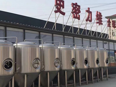耿马精酿啤酒设备厂—市场规模与跨界新需求